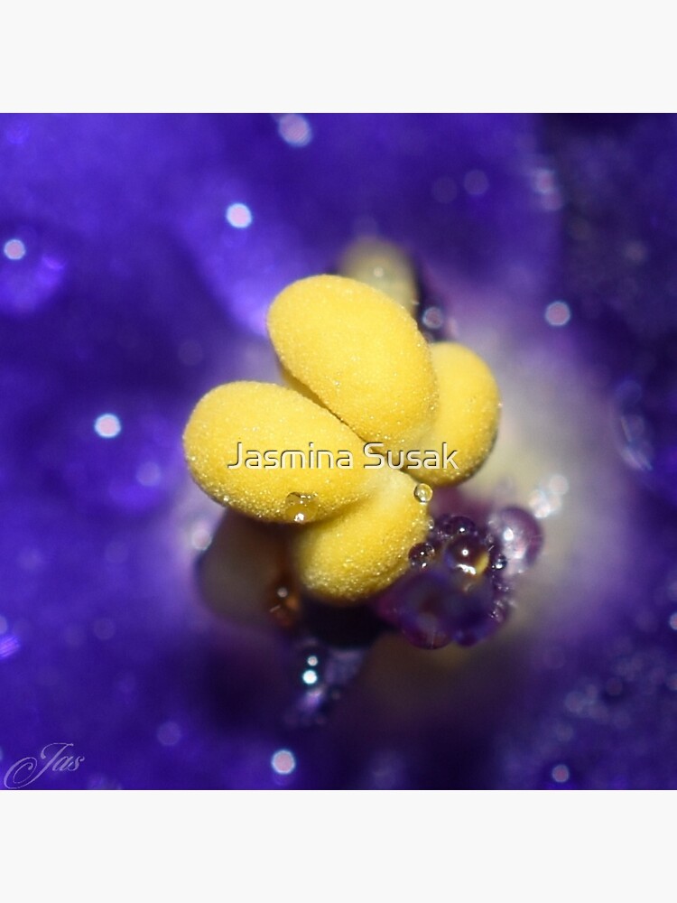 "Inside the Flower Stigma" Sticker for Sale by JasminaSusak Redbubble