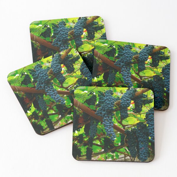 Item preview, Vines designed and sold by Gaspar Avila.