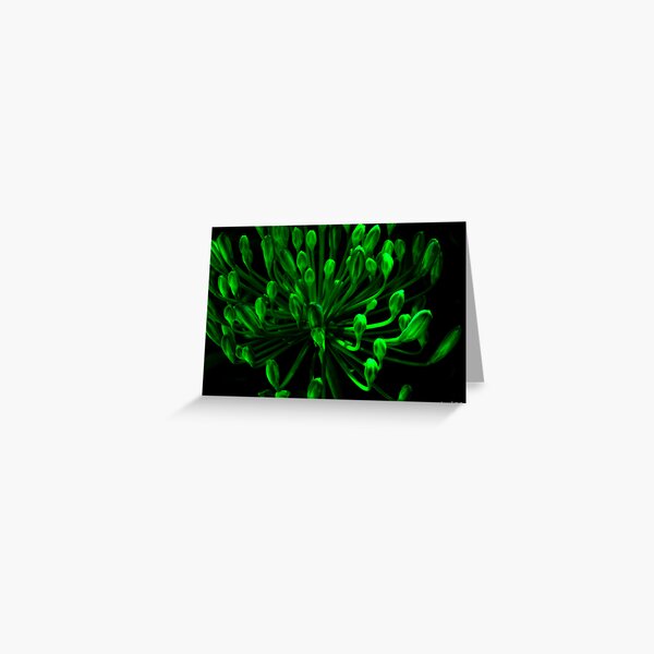 Life Is Green!!! Greeting Card