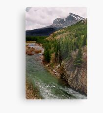 Glacier NP Stream 2 Metal Print