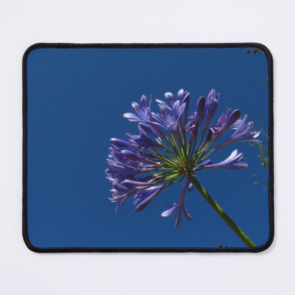 Item preview, Agapanthus designed and sold by wiggyofipswich.