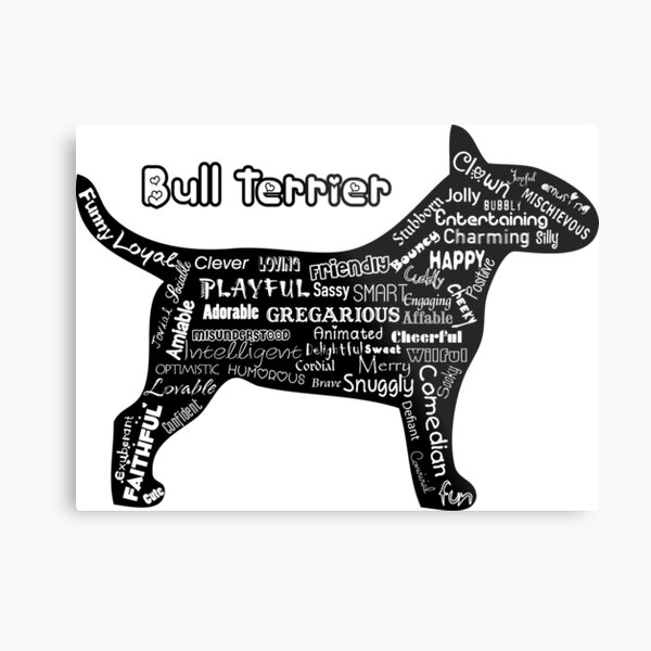 "Bull Terrier - Words" Metal Print