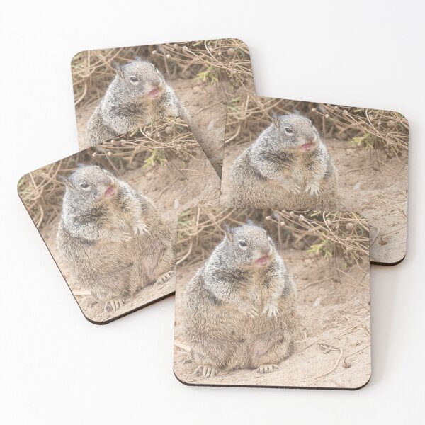 Item preview, Californian Ground Squirrel designed and sold by LaurenTucker.