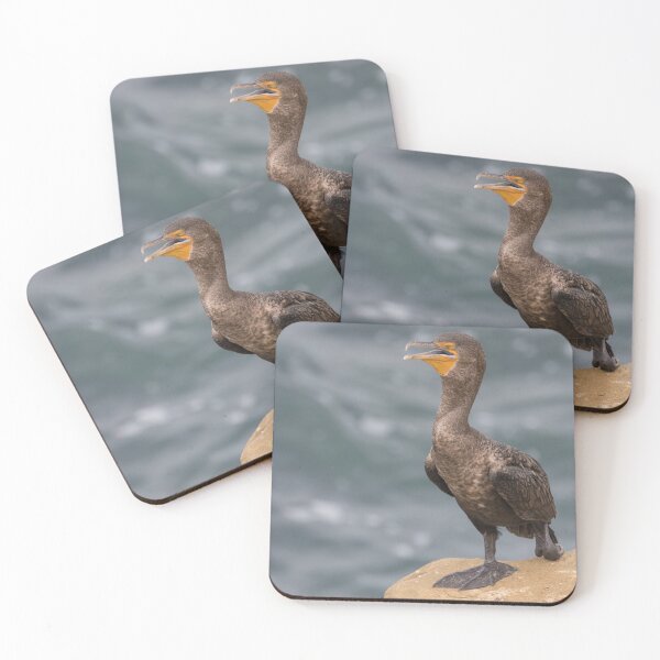 Item preview, Double Crested Cormorant designed and sold by LaurenTucker.