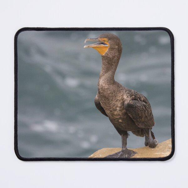 Item preview, Double Crested Cormorant designed and sold by LaurenTucker.