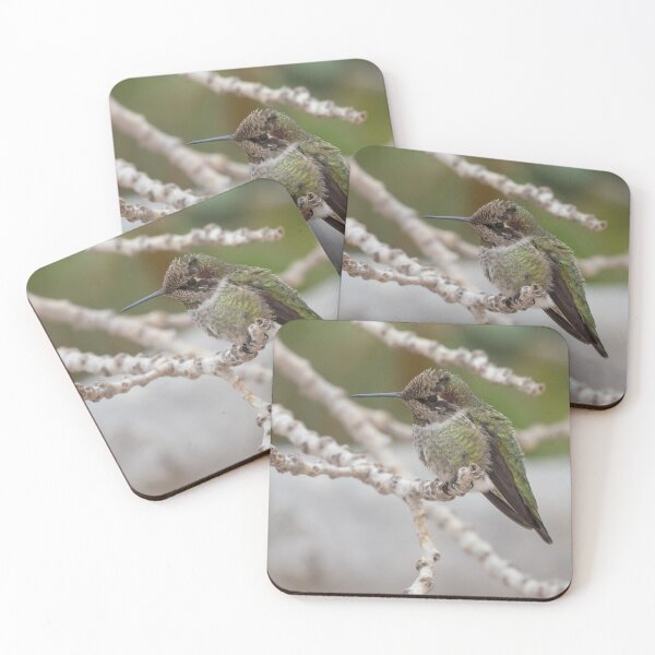 Item preview, Anna's Hummingbird designed and sold by LaurenTucker.