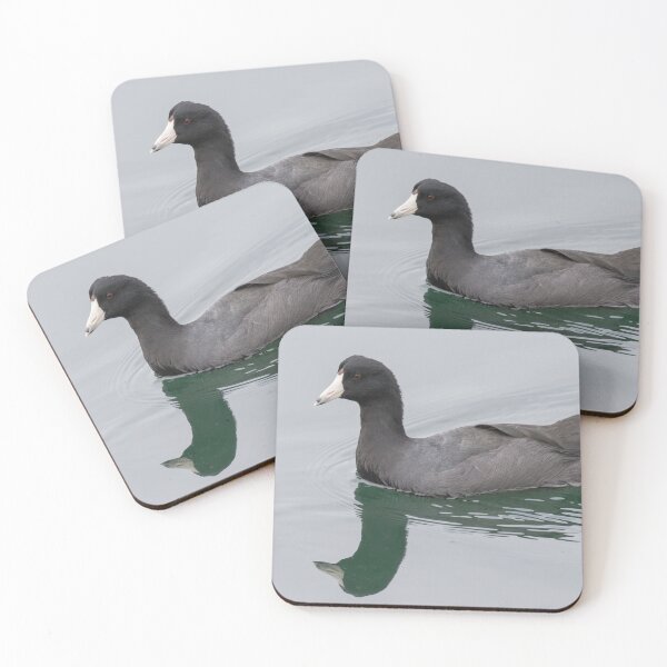 Item preview, American Coot designed and sold by LaurenTucker.