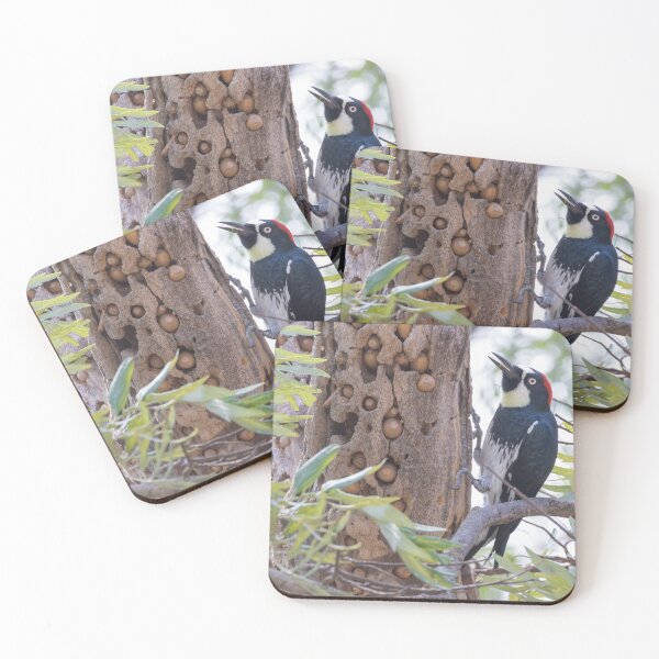 Item preview, Acorn Woodpecker designed and sold by LaurenTucker.