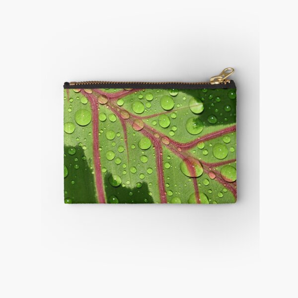 Item preview, Maranta Prayer Plant Close Up with Water Drops designed and sold by Jasmina Susak.