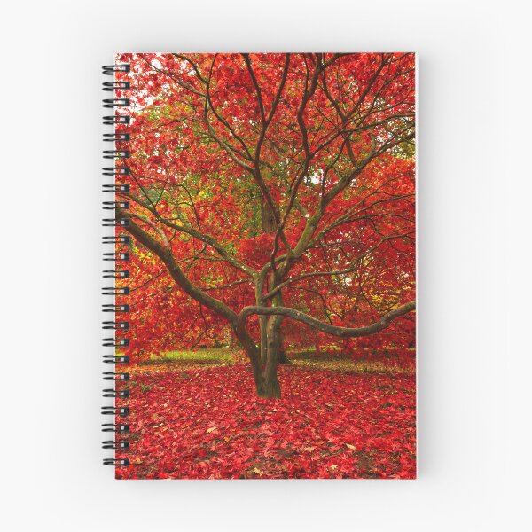 Item preview, Red Maple Tree designed and sold by Bobfreckle.