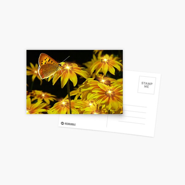 Aperçu de l'œuvre  donc les fleurs douces obligées ... ;-)

! http: //images-2.redbubble.net/img/art/backingcolor: blanc / produit: carte de voeux / vue: aperçu / 1466419-1-natures-nightlights.jpg! créée et vendue par Zoe Marlowe.