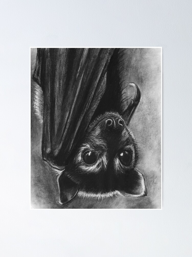 Poster Bebe Chauve Souris Par Dorysstories Redbubble