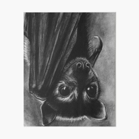 Item preview, Baby Bat designed and sold by DorysStories.
