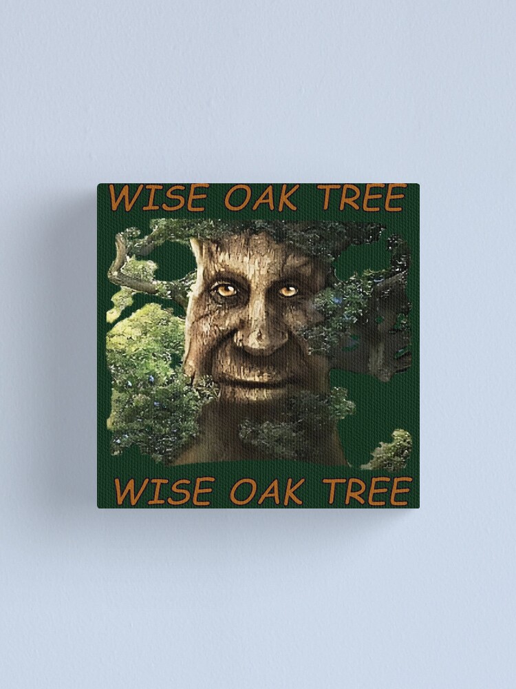 i love the wise mystical tree - Walter White Breaking Bad