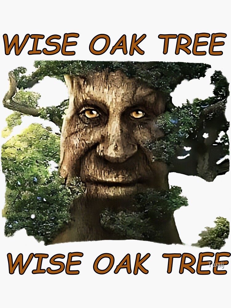 Wise Mystical Tree Face Old Mythical Oak Tree Funny Meme Poster