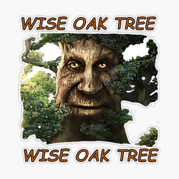 Wise Oak Tree Gifts & Merchandise for Sale