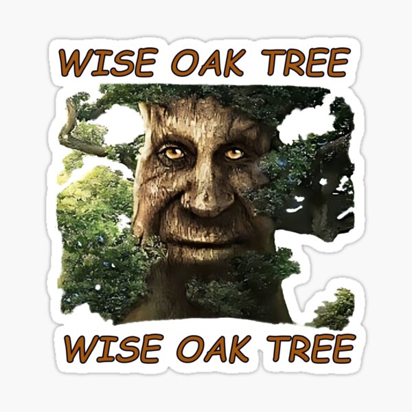 Wise Mystical Tree Face Old Mythical Oak Tree Funny Meme Crop Top Hoodie