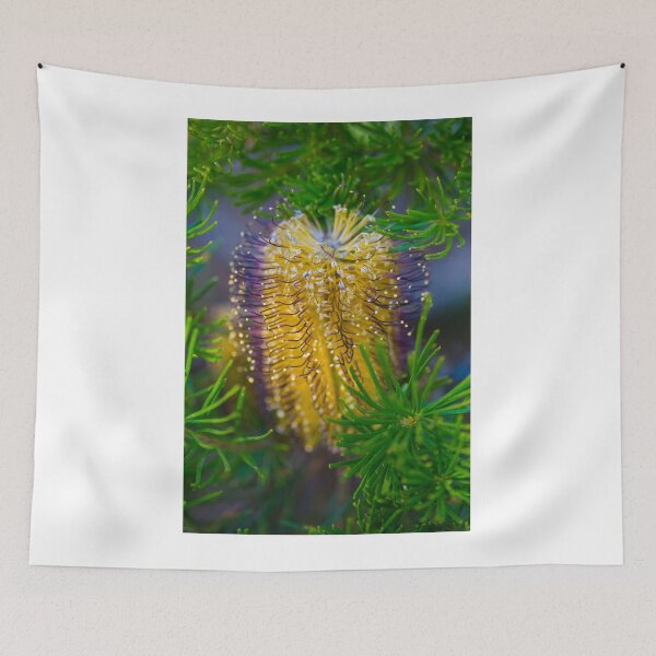 Item preview, Banksia designed and sold by Keith's Photo Artistry.