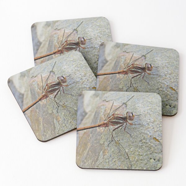 Item preview, Dragon on stone designed and sold by BiodiversityRocks.
