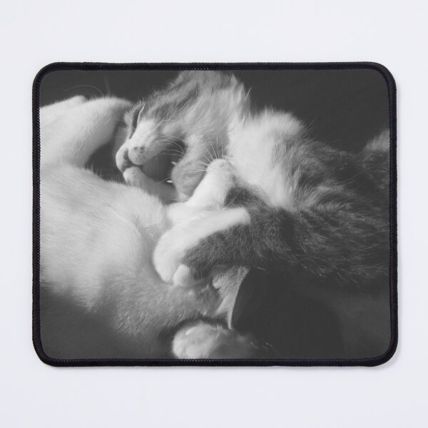 Item preview, Cats Playing Black And White Cutest Cat Pics designed and sold by CutestCatPics.