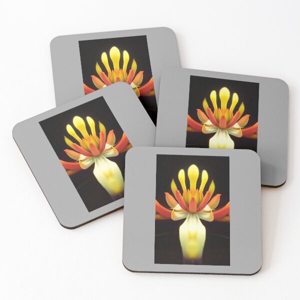 Item preview, Aladin-Flower designed and sold by MA-TE.