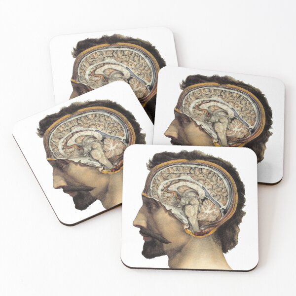 Item preview, Vintage anatomy illustration of the brain designed and sold by monsterplanet.
