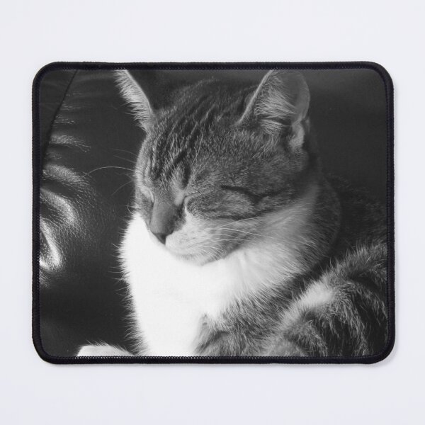 Item preview, Cat Napping Black And White Cutest Cat Pics designed and sold by CutestCatPics.