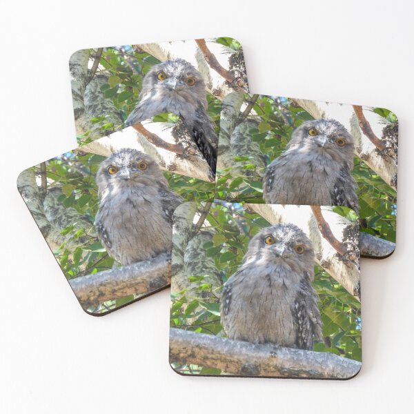 Item preview, "Tony" Frogmouth designed and sold by Wonder-Quag.