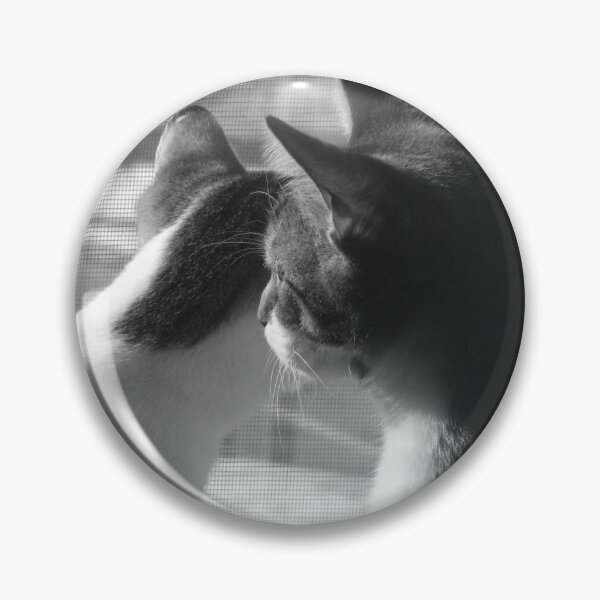 Item preview, Cats Looking Out Window Black And White Cutest Cat Pics designed and sold by CutestCatPics.