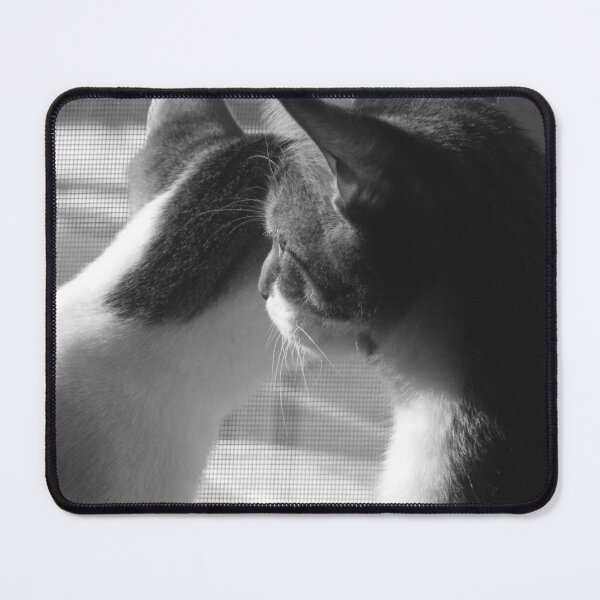 Item preview, Cats Looking Out Window Black And White Cutest Cat Pics designed and sold by CutestCatPics.