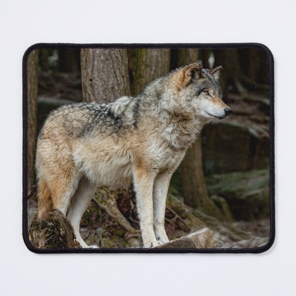 Item preview, Timber Wolf designed and sold by Michael Cummings.