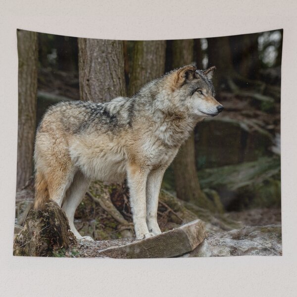 Item preview, Timber Wolf designed and sold by Michael Cummings.