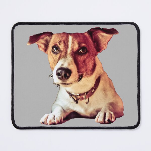 Item preview, Jack russell terrier designed and sold by C.T. Photography.