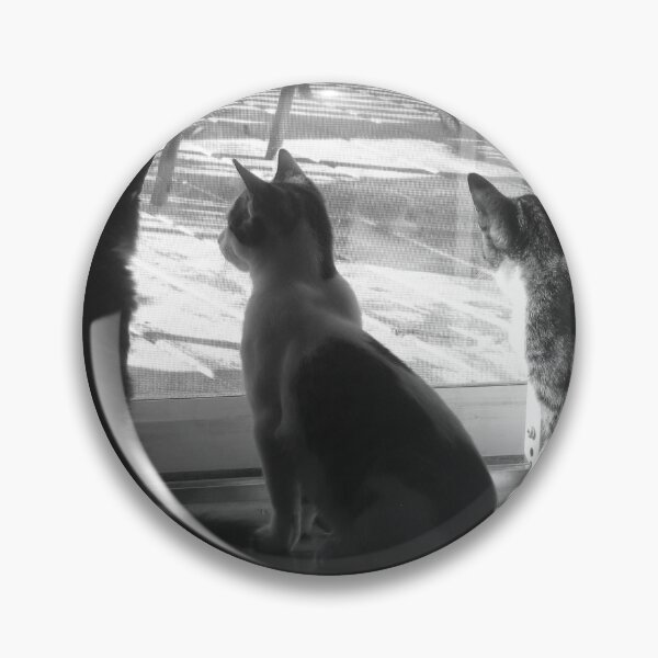 Item preview, Cats Looking Out Window Black And White Cutest Cat Pics designed and sold by CutestCatPics.