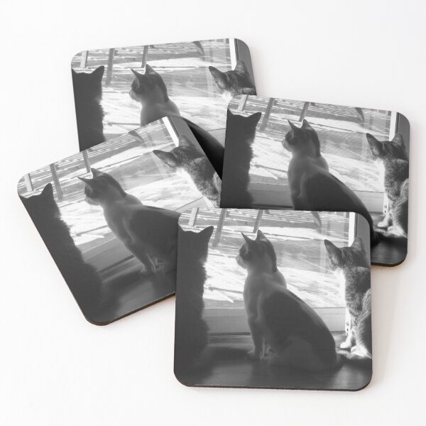 Item preview, Cats Looking Out Window Black And White Cutest Cat Pics designed and sold by CutestCatPics.