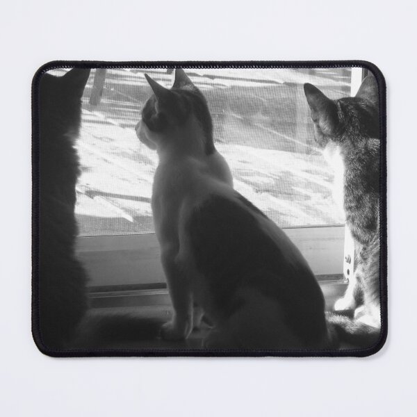 Item preview, Cats Looking Out Window Black And White Cutest Cat Pics designed and sold by CutestCatPics.
