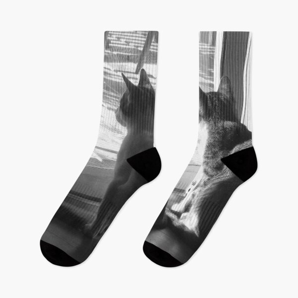 Item preview, Cats Looking Out Window Black And White Cutest Cat Pics designed and sold by CutestCatPics.