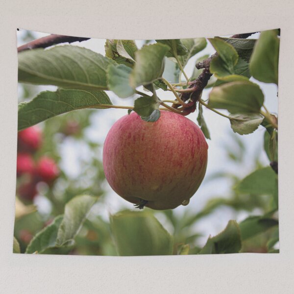 Item preview, Apple designed and sold by OneCreativePup.