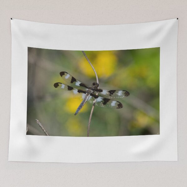 Item preview, Glistening Wings designed and sold by RonHebert.