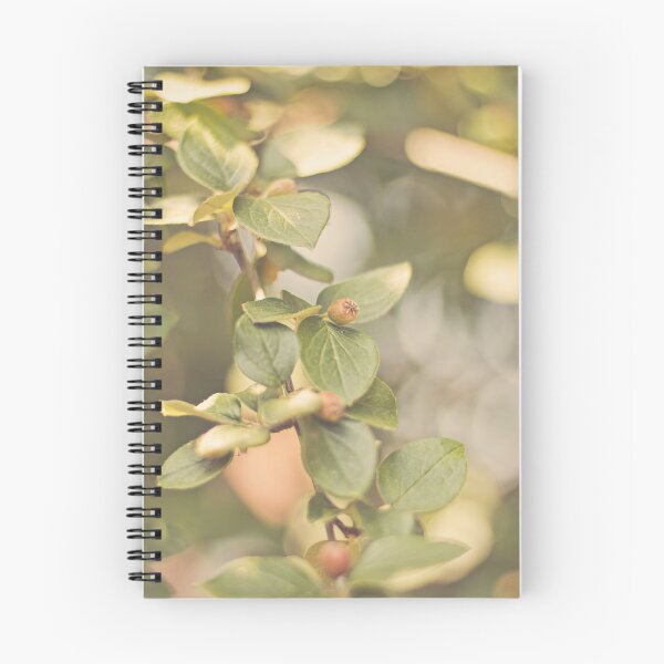 Item preview, Dappled sunlight through the leaves designed and sold by Elliot Crippen.