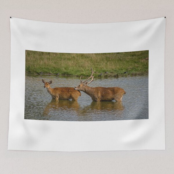 Item preview, Cooling Off designed and sold by Chris Thaxter.