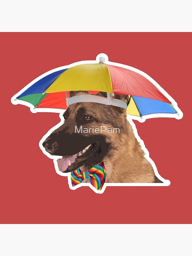 dog umbrella hat