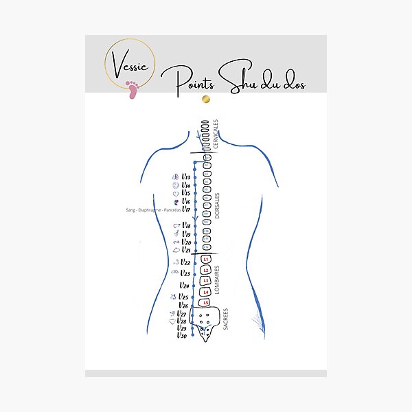 Item preview, Back Shu Points, Bladder Meridian designed and sold by Jeanne-s-Snake.