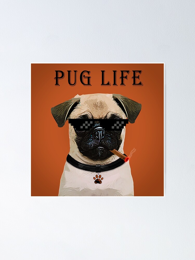 Pug hotsell life collar