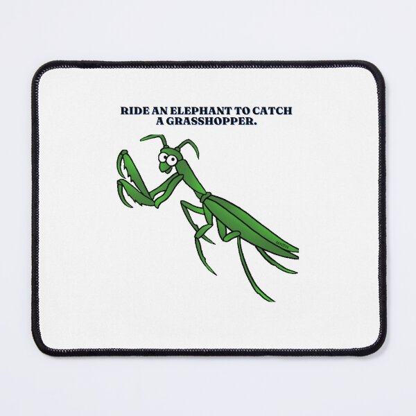Item preview, insect collections designed and sold by Ramanujan MN.