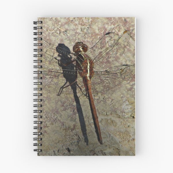 Item preview, Dragonfly at rest designed and sold by BiodiversityRocks.