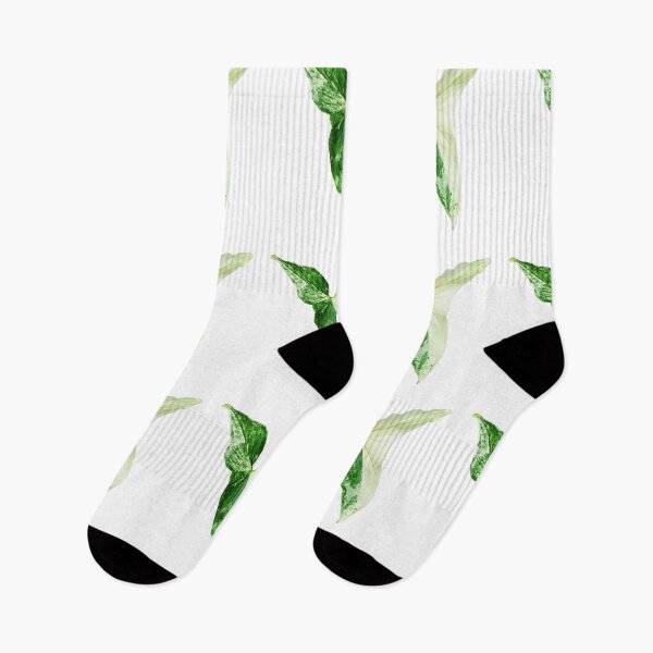 Item preview, Unique and organic photo of a Syngonium Albo 7 designed and sold by AvonPerception.