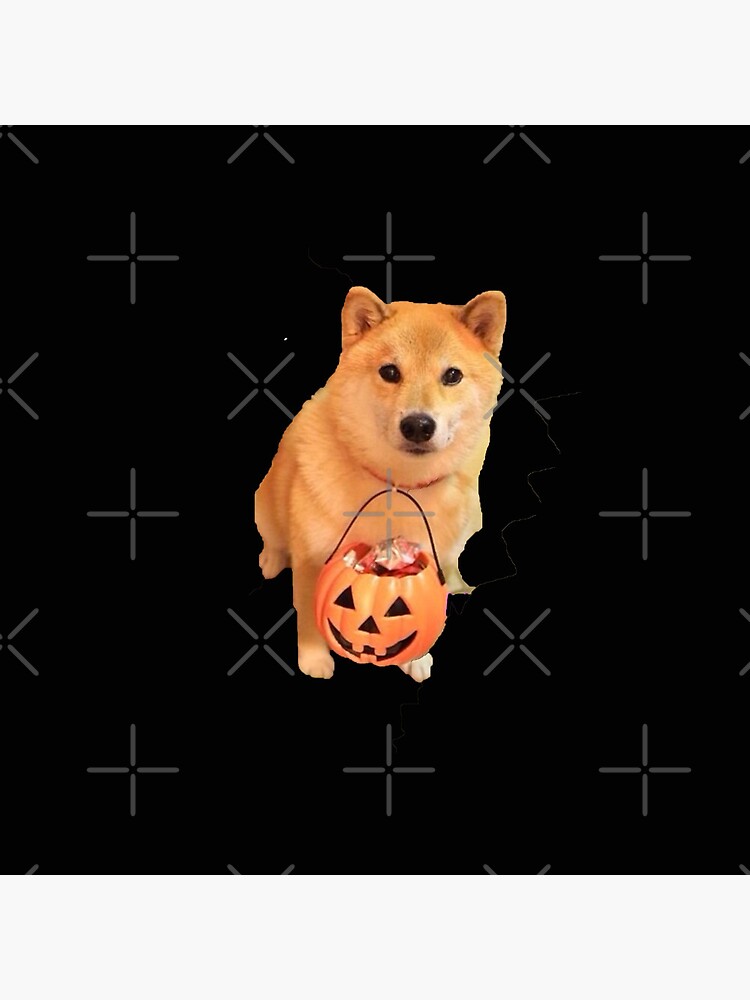 Disover Halloween Doge Meme | Angered witch doge halloween Gift  Pin