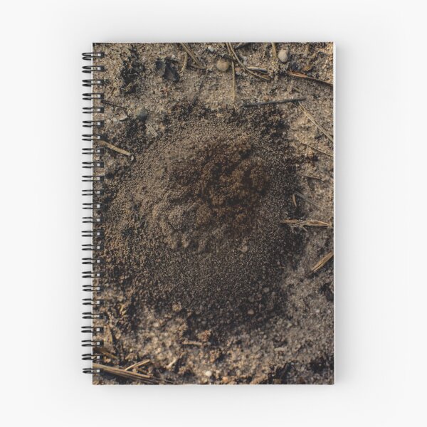 Item preview, Emerging Ant designed and sold by Arc1.
