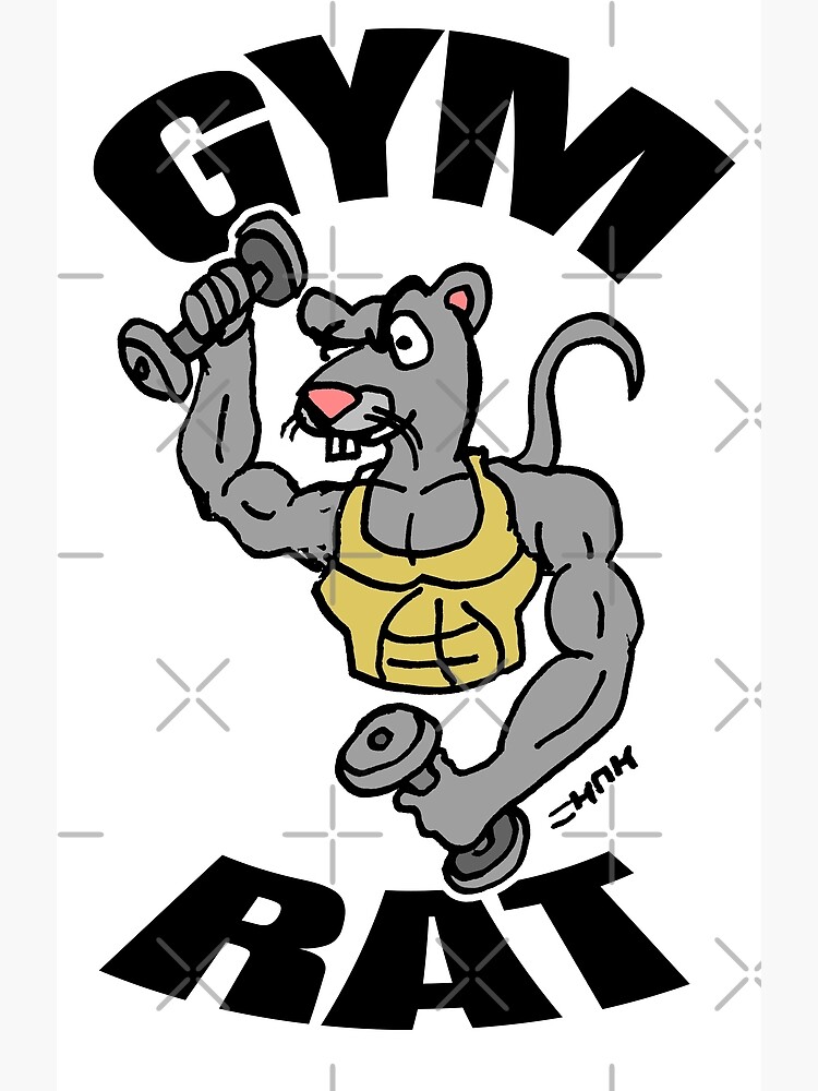 "Gym Rat" Poster by sketchNkustom Redbubble
